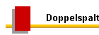 Doppelspalt